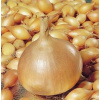 Лук Радар 0,5кг (Импортный) (40)