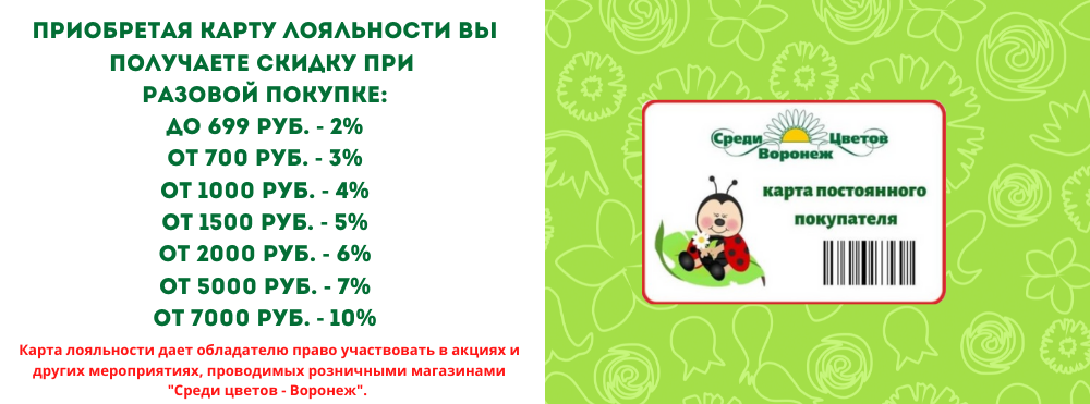 Приобретая карту лояльности вы получаете Скидку при разовой покупке до 699 руб. - 2% от 700 руб. - 3% от 1000 руб. - 4% от 5000 руб. - 5% от 10 000 руб. - 10% от 15 000 руб. - 15% (6).png Приобретая карту лояльности вы получаете Скидку при разовой покупке до 699 руб. - 2% от 700 руб. - 3% от 1000 руб. - 4% от 5000 руб. - 5% от 10 000 руб. - 10% от 15 000 руб. - 15% (6).png